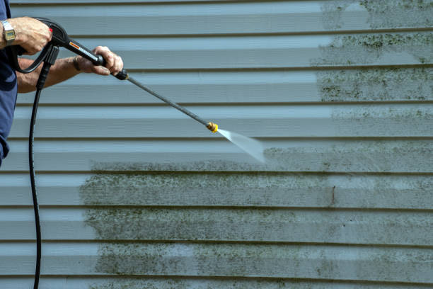 Best Graffiti Removal  in Irvine, KY